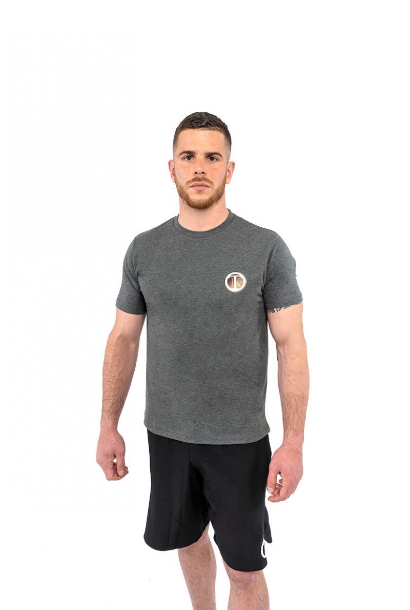 Training T-shirt Gray