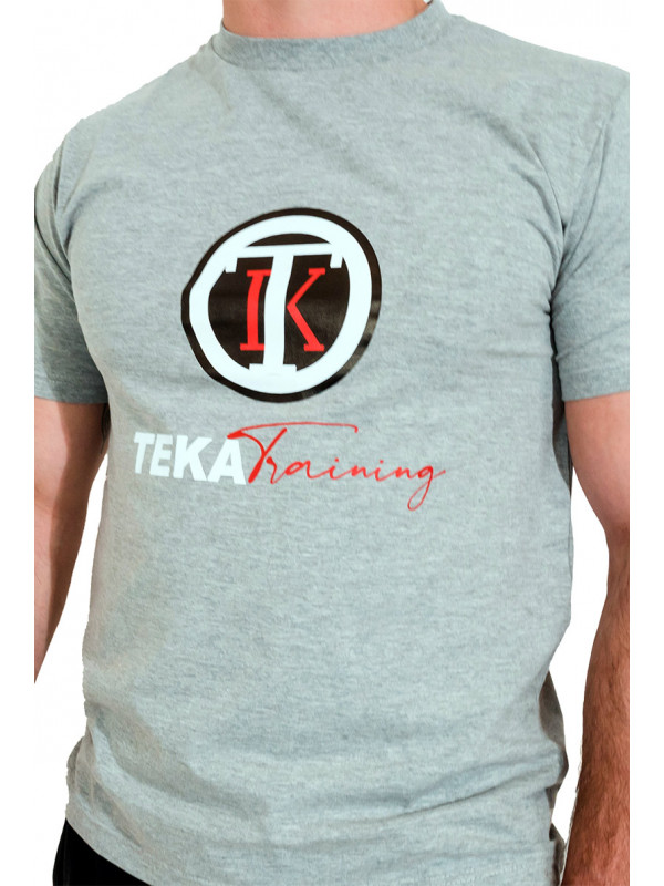 Logo T-shirt Gray