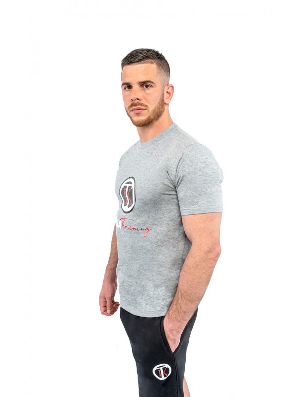 Logo T-shirt Gray