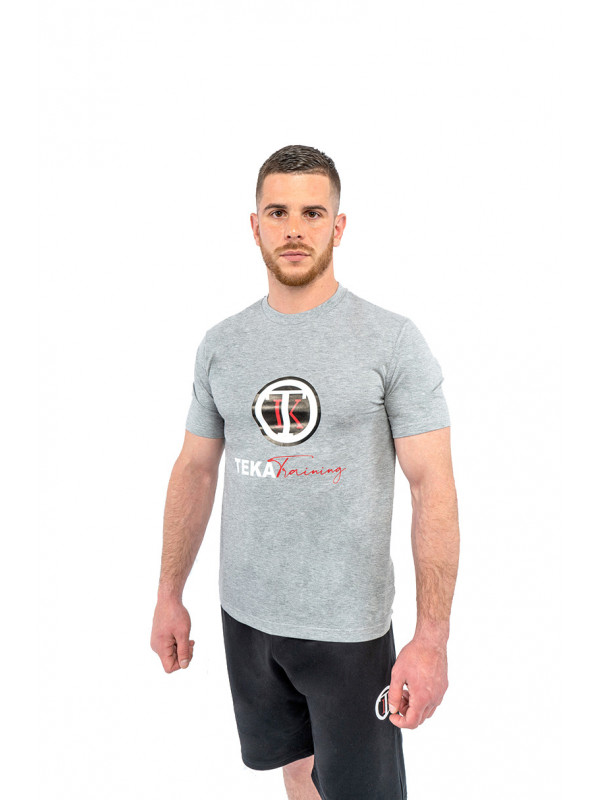 Logo T-shirt Gray