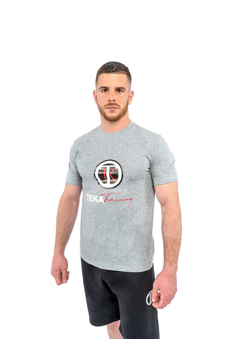 Logo T-shirt Gray